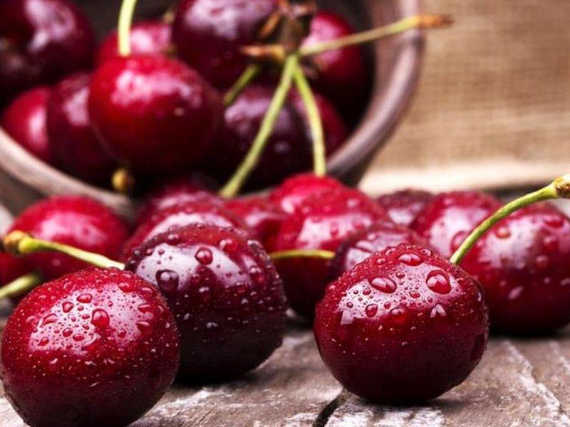Вишня купить саженцы из питомника в Серове